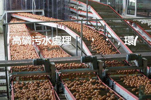 “高磷污水處理，環(huán)保先鋒，守護碧水藍天！”
